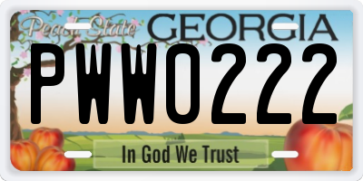 GA license plate PWW0222
