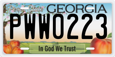 GA license plate PWW0223