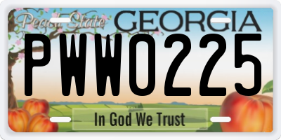 GA license plate PWW0225