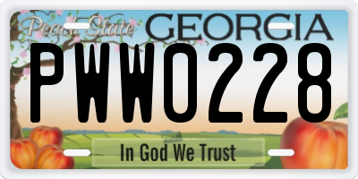 GA license plate PWW0228