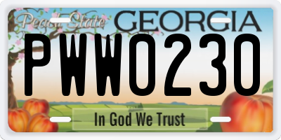 GA license plate PWW0230
