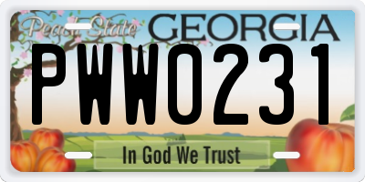 GA license plate PWW0231