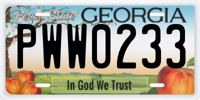 GA license plate PWW0233