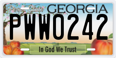 GA license plate PWW0242