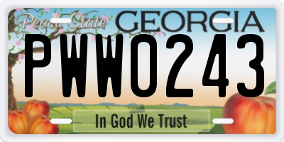 GA license plate PWW0243