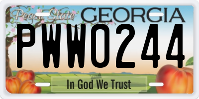 GA license plate PWW0244