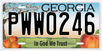 GA license plate PWW0246