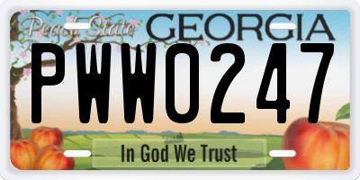 GA license plate PWW0247