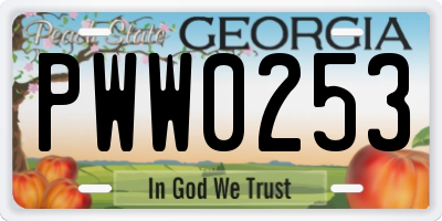 GA license plate PWW0253
