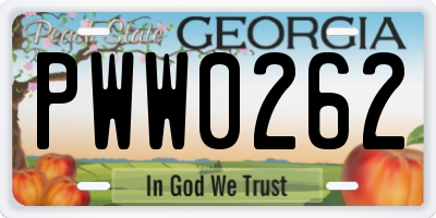 GA license plate PWW0262