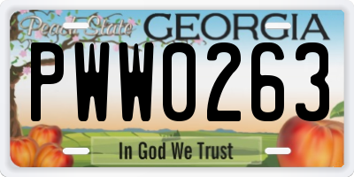 GA license plate PWW0263