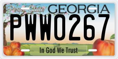 GA license plate PWW0267