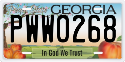 GA license plate PWW0268