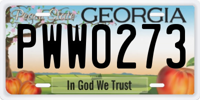GA license plate PWW0273