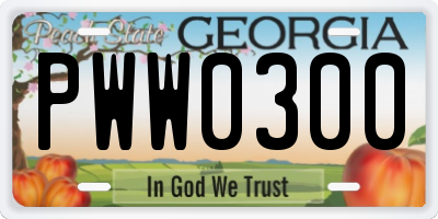 GA license plate PWW0300