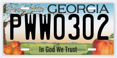 GA license plate PWW0302