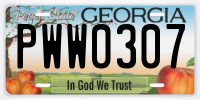 GA license plate PWW0307