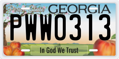 GA license plate PWW0313