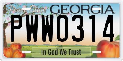 GA license plate PWW0314