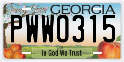GA license plate PWW0315