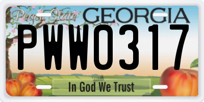 GA license plate PWW0317