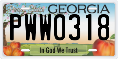 GA license plate PWW0318