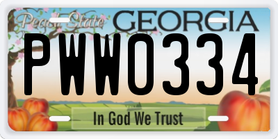 GA license plate PWW0334