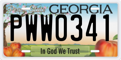 GA license plate PWW0341