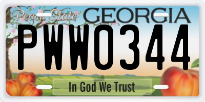 GA license plate PWW0344