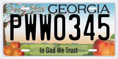 GA license plate PWW0345