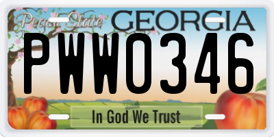 GA license plate PWW0346