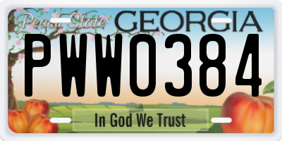 GA license plate PWW0384