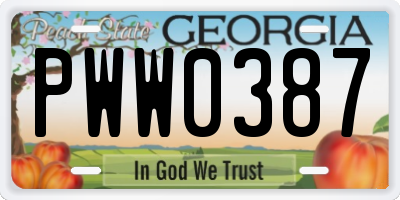 GA license plate PWW0387