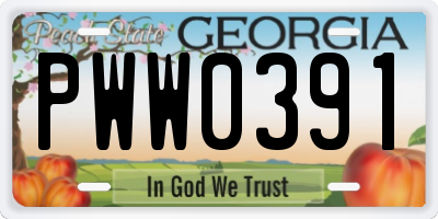 GA license plate PWW0391