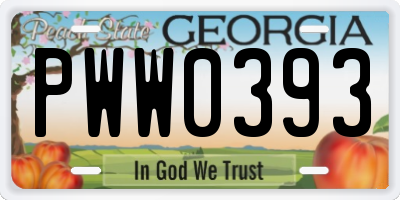 GA license plate PWW0393