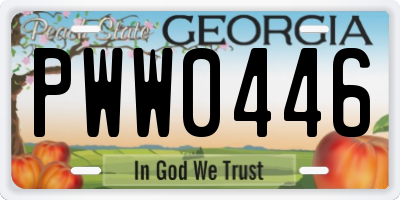 GA license plate PWW0446