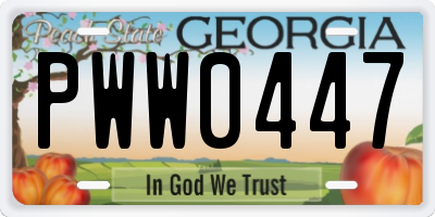 GA license plate PWW0447