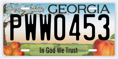 GA license plate PWW0453