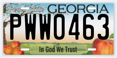 GA license plate PWW0463