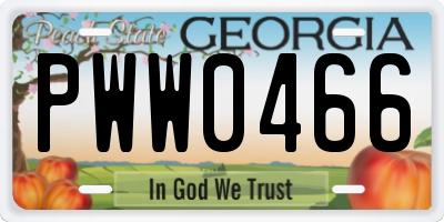 GA license plate PWW0466