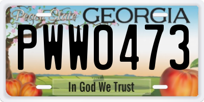 GA license plate PWW0473