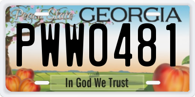 GA license plate PWW0481
