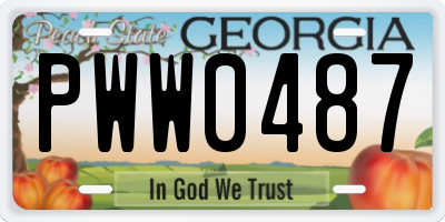 GA license plate PWW0487