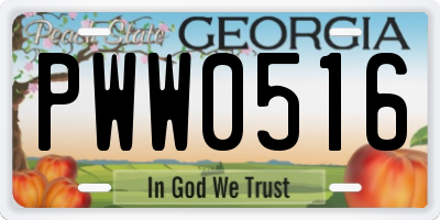 GA license plate PWW0516
