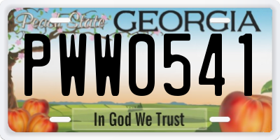 GA license plate PWW0541
