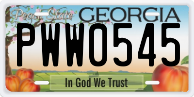 GA license plate PWW0545