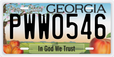 GA license plate PWW0546