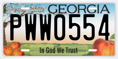 GA license plate PWW0554