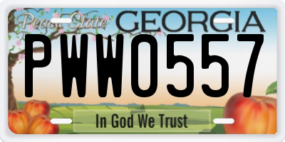 GA license plate PWW0557