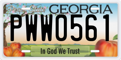 GA license plate PWW0561